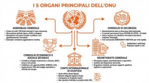 5 Organi in cui è organizzata l'ONU